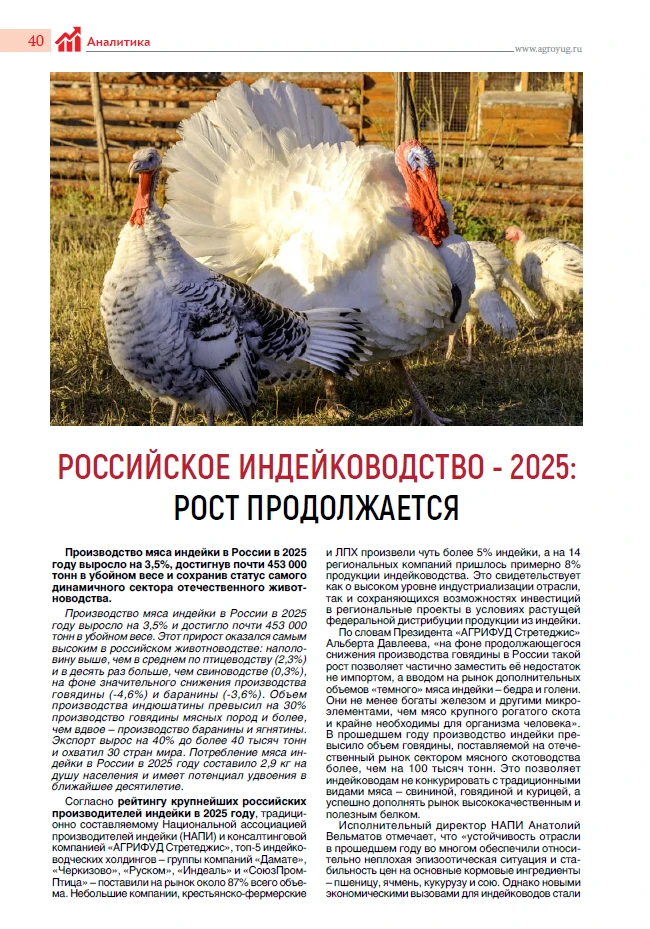 Российское индейководство: драйверы роста и потенциал десятилетнего развития