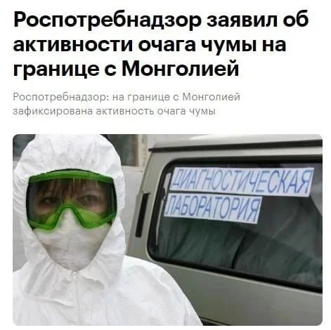 ‼️ Вспышка ЧУМЫ зафиксирована на границе России и Монголии — об этом сообщают СМИ