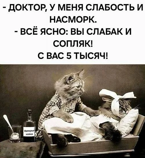 Когда чувствуешь себя уставшей и обессиленной, сильнее всего раздражают посты про высок...