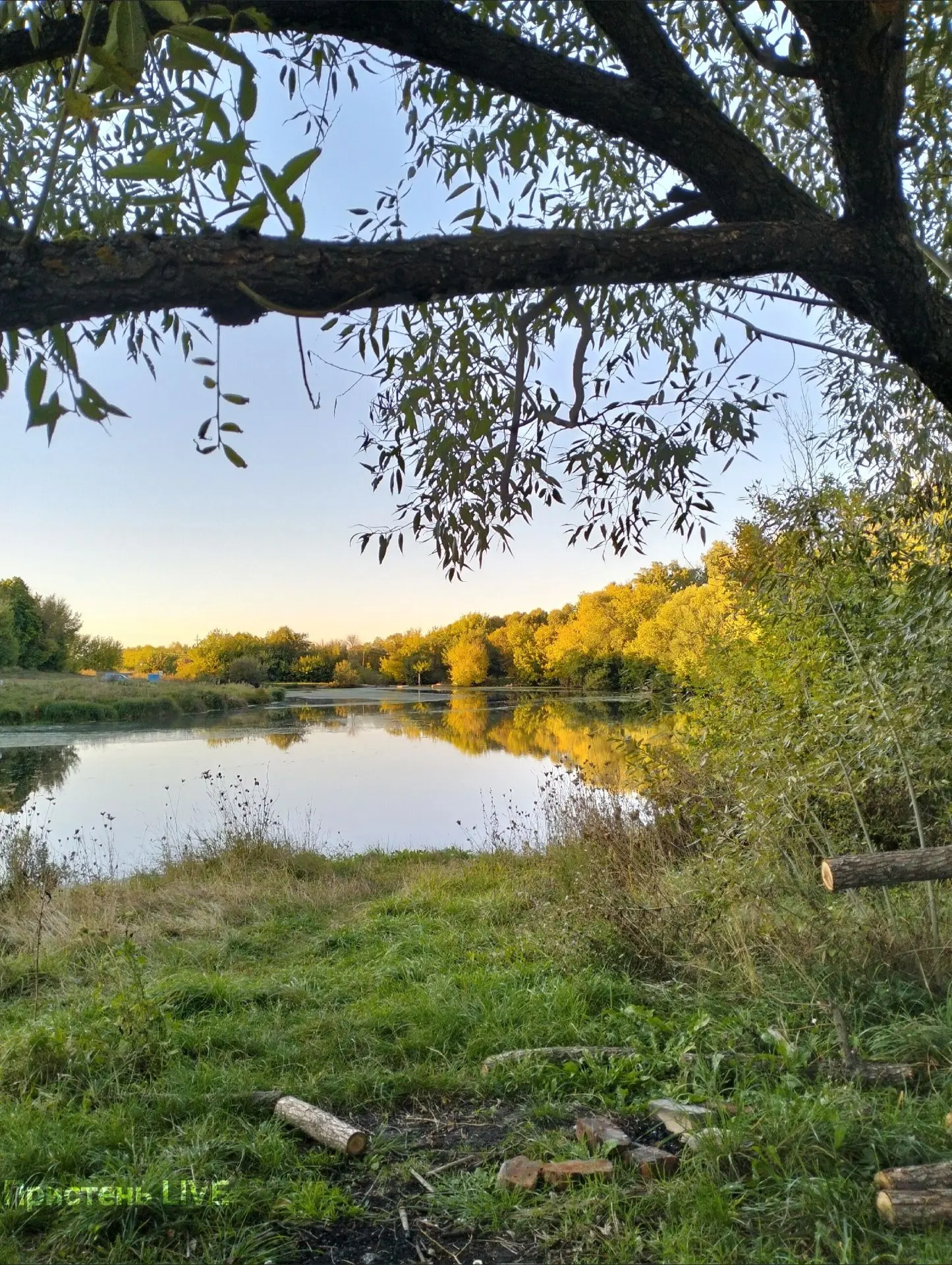Доброе утро, Пристенский район!♥️