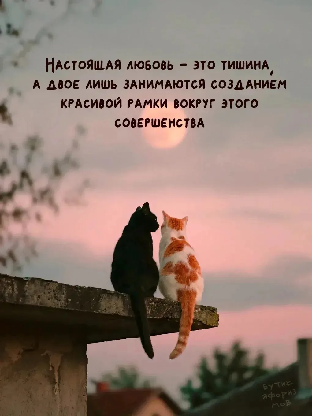 📌Мы наполняем жизнь событиями: путешествуем, смеемся, дарим подарки, создаем уют. И всё это чудесно