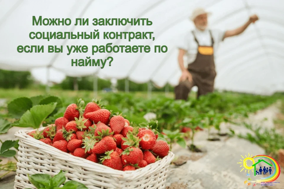 ⚡Можно ли заключить социальный контракт, если вы уже работаете по найму?⚡