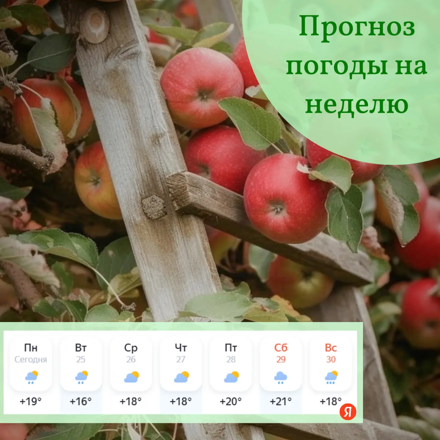 Главное условие счастья - начинать каждый день с улыбки! 😊