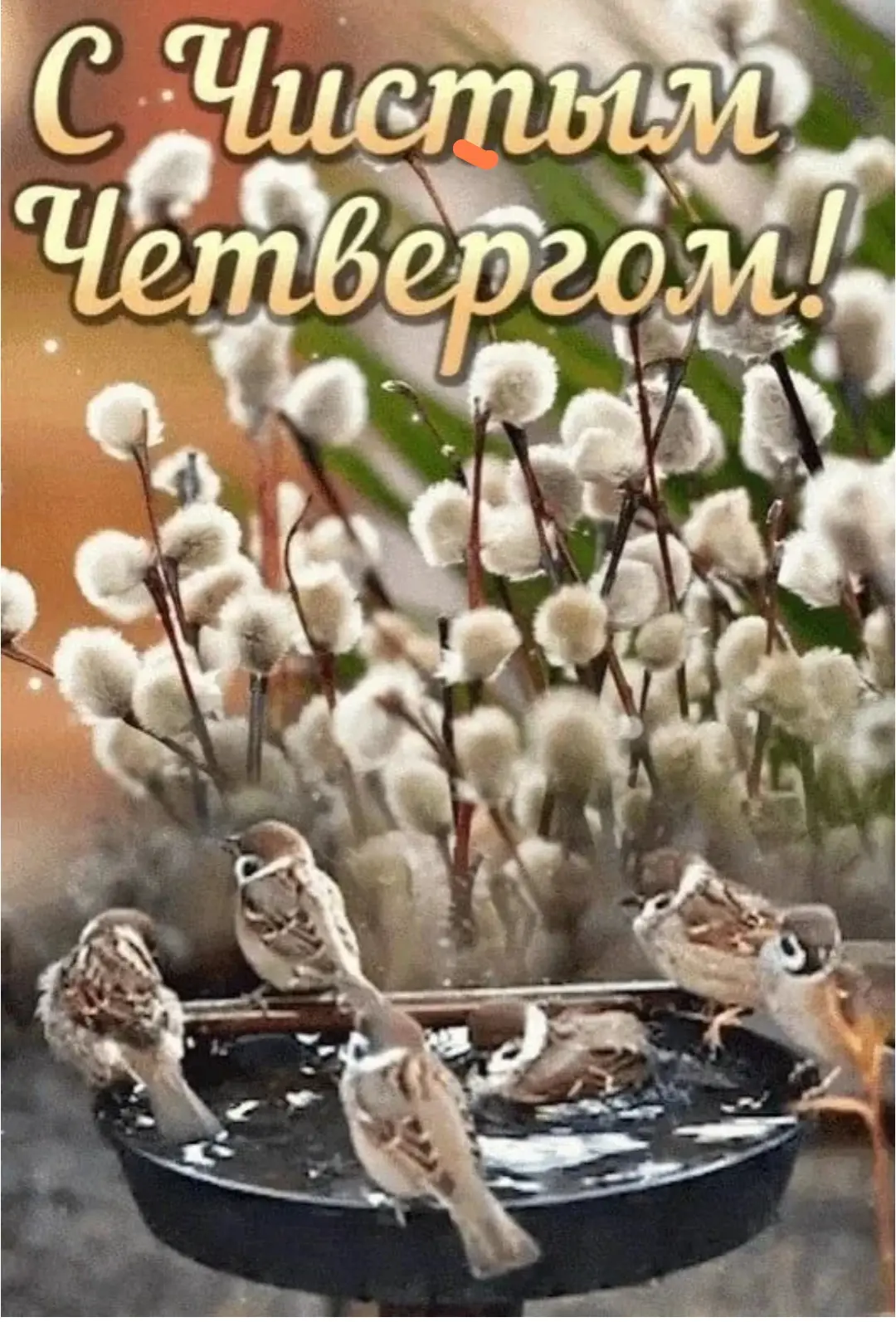 Пока на улице дождь.. Чистый четверг! С праздником, православные! Мира нам всем, чистот...