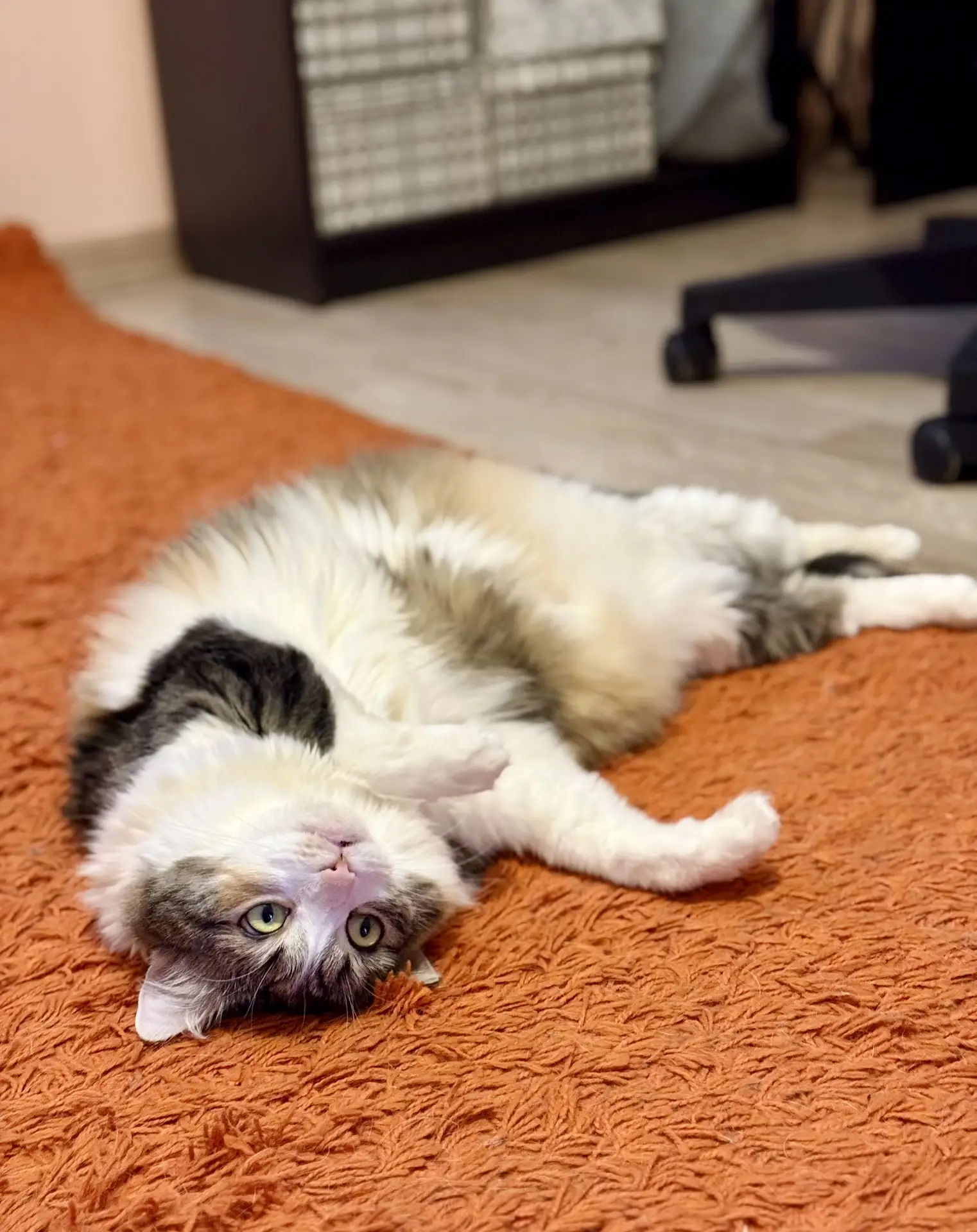 Расслабляющая гимнастика от Плюши 🧘‍♀️😌