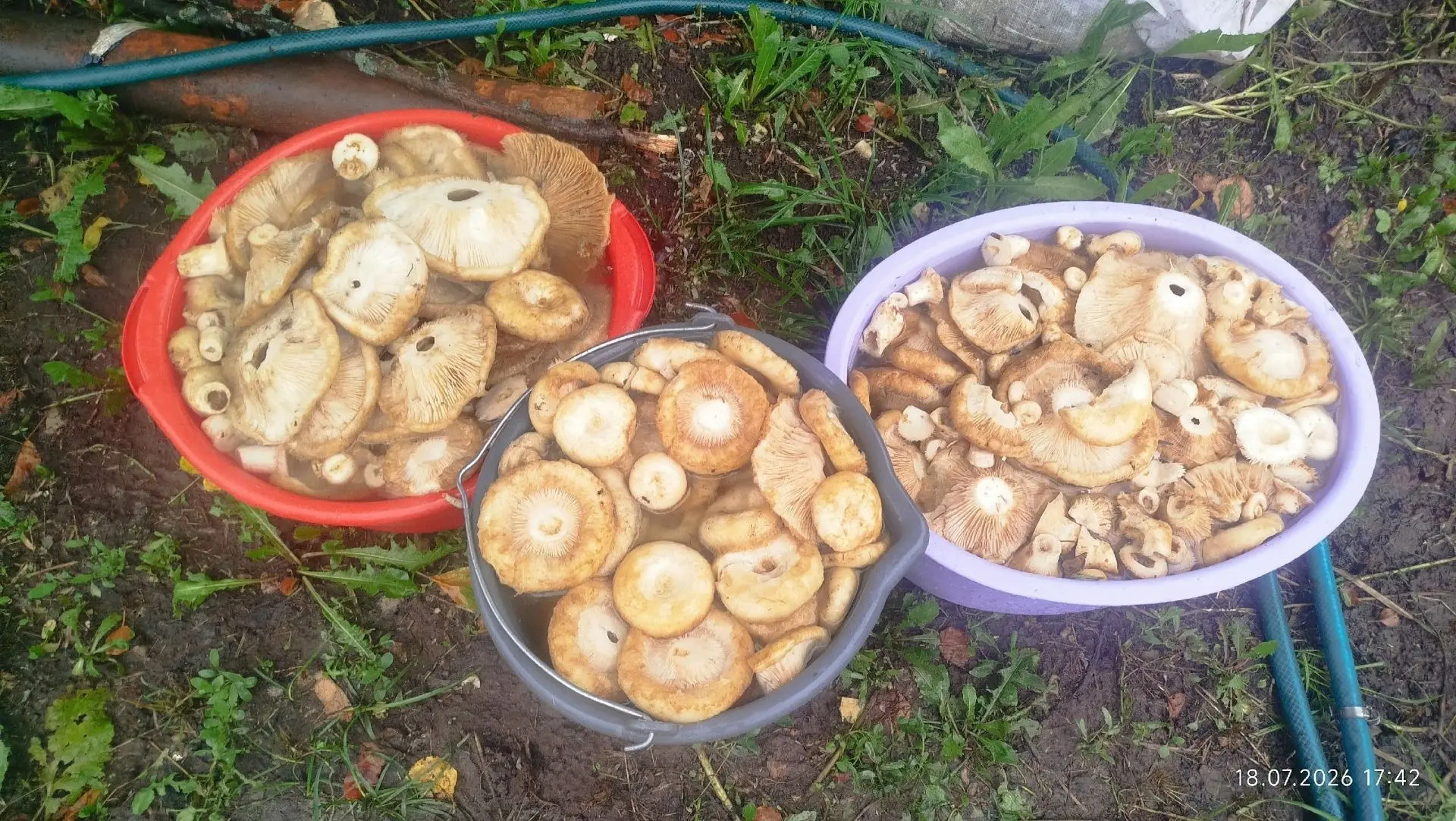 Татарстан.
