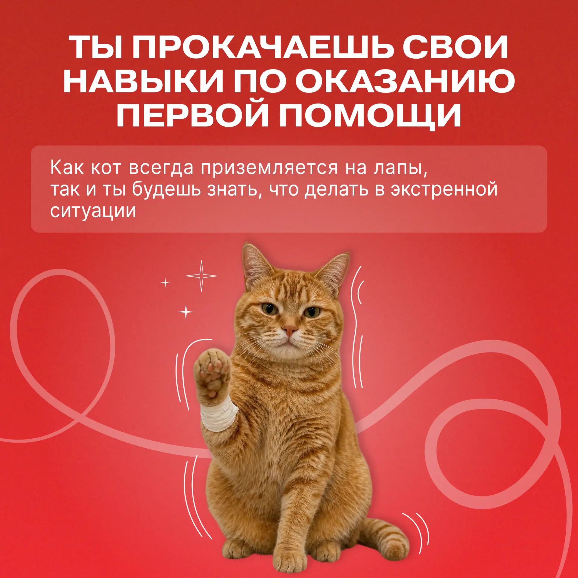🐾 После проекта «Первые — амбассадоры Первой помощи» ты точно не скажешь, что у тебя лапки!  Решили 