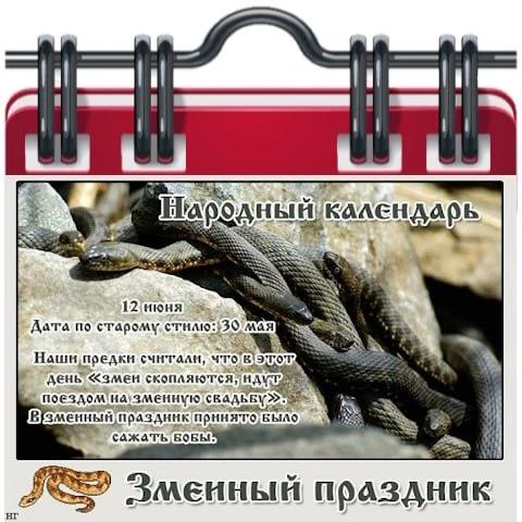 🗓 Народный календарь

Исаакий Змеевик. Змеиный праздник 
12 июня - дата памяти преподобного Исаакия