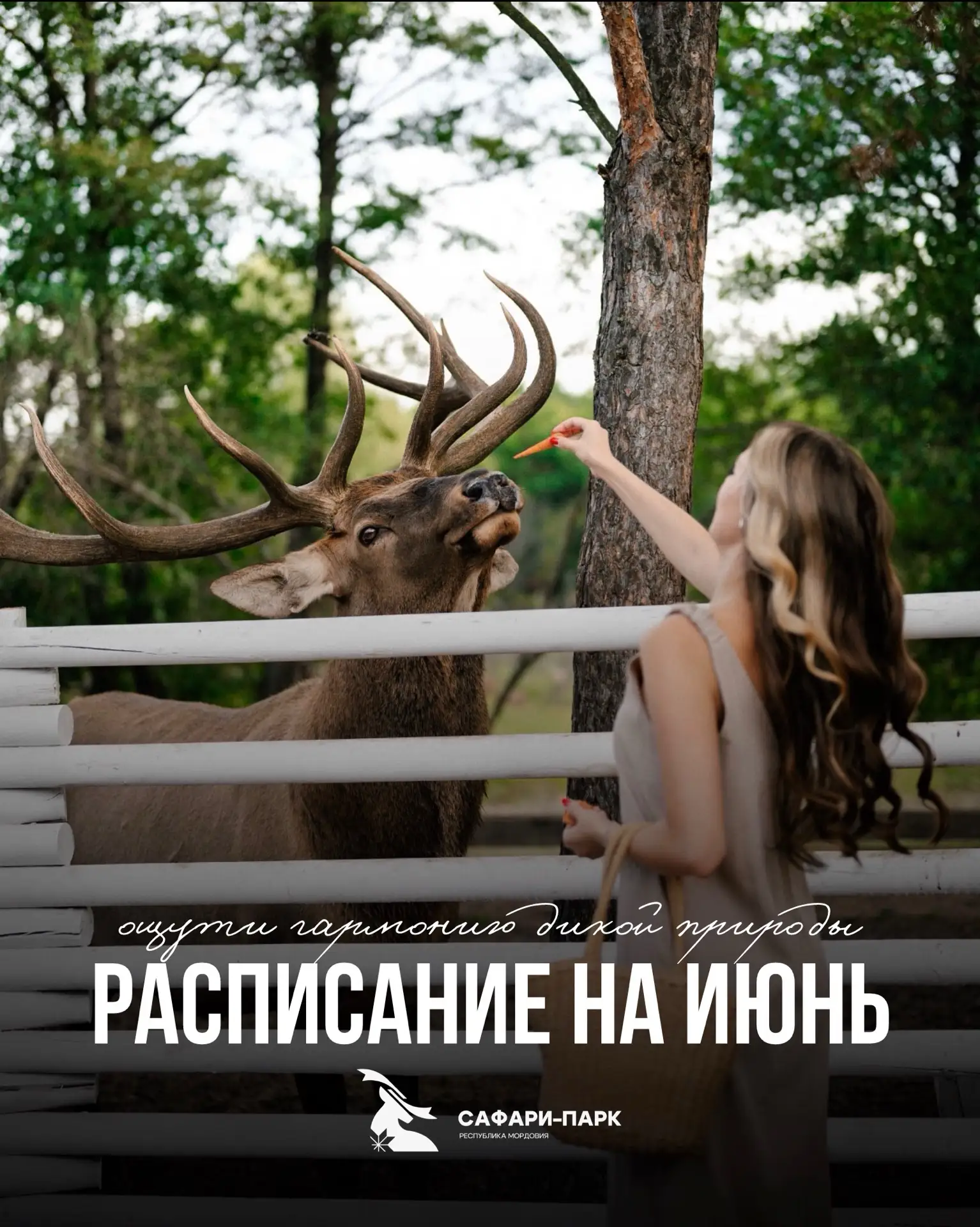🌿РАСПИСАНИЕ НА ИЮНЬ🌿

Мы работаем по предварительной записи  по телефону 

        📱 +7 (834) 233