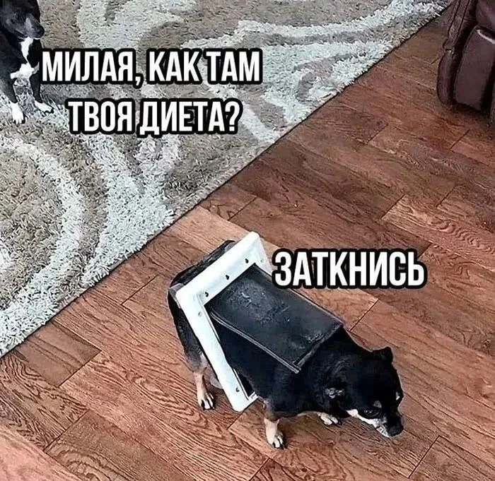 Спал. Встал. Пошёл на кухню, пожрал в темноте.
