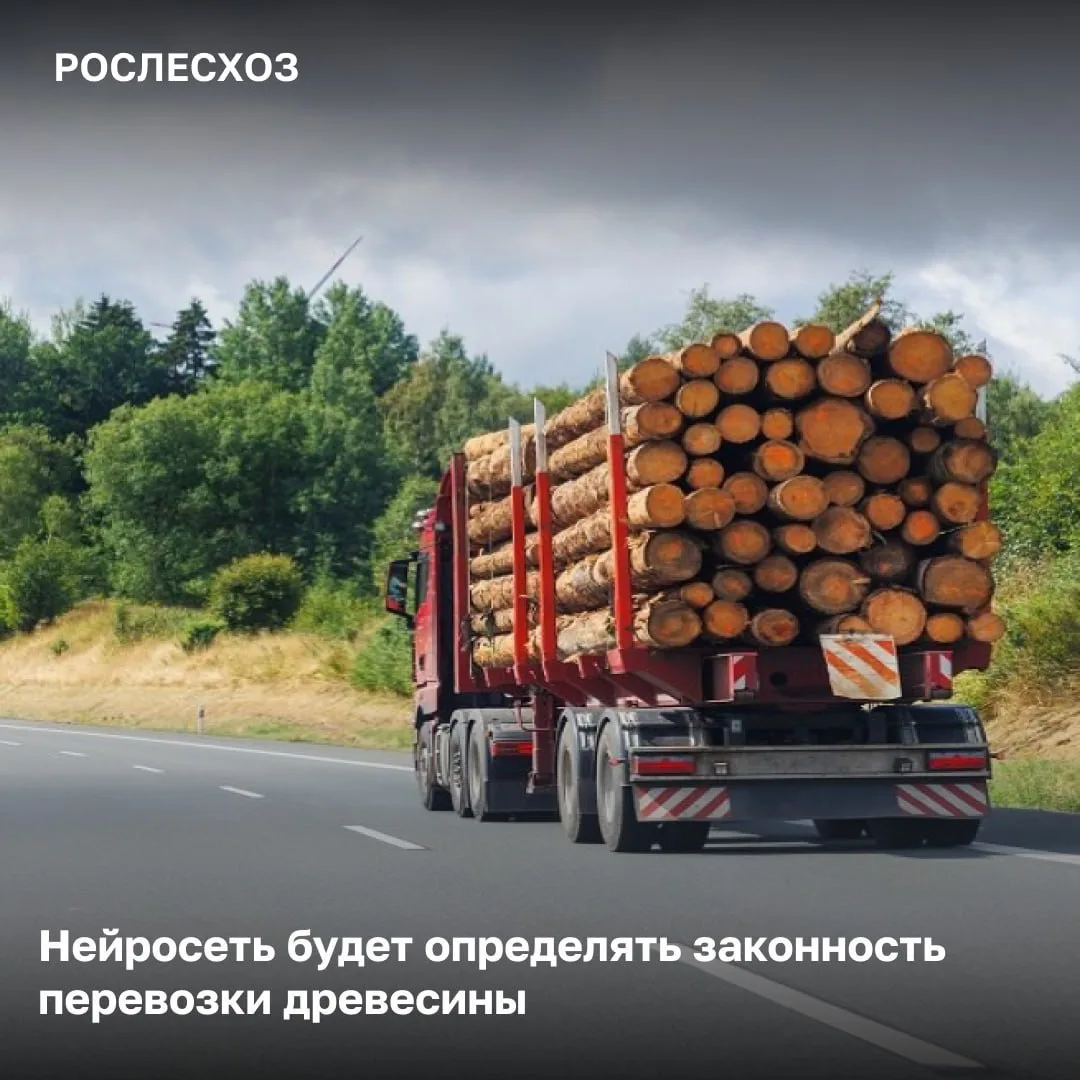 🟢 В административный кодекс планируется внести изменения – перевозка лесоматериалов бу...