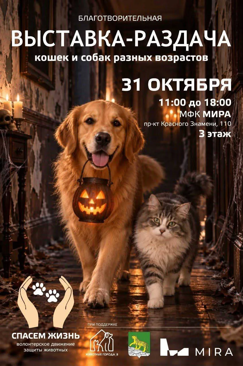 Новая выставка в октябре 😉