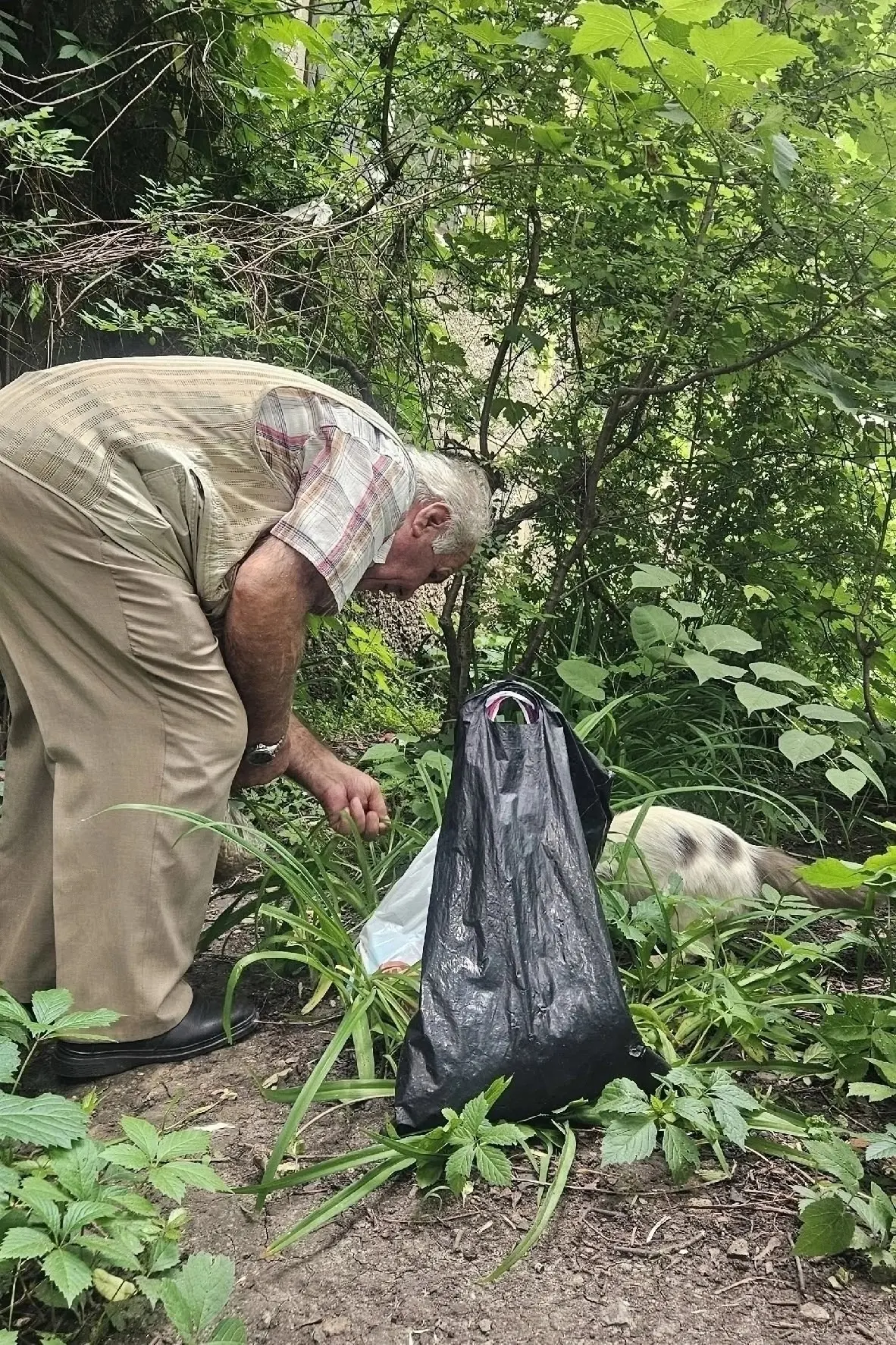 ❤️ У него нет геройского плаща, но есть доброе сердце