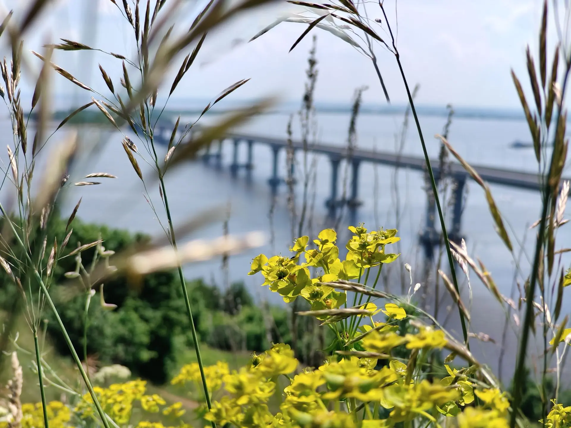 Доброе утро, рыбнослободцы!☀️

Пусть эта неделя принесет всем вдохновение и удачу!