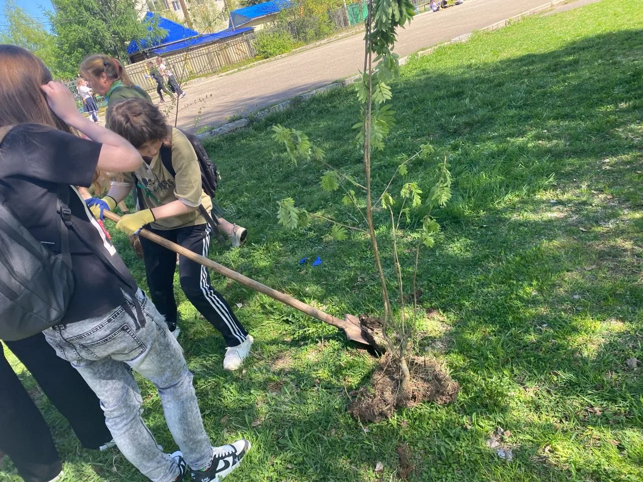 🌿В понедельник, 18 мая прошел первый день тематической недели 11б класса.   «Зеленый день» был посвя