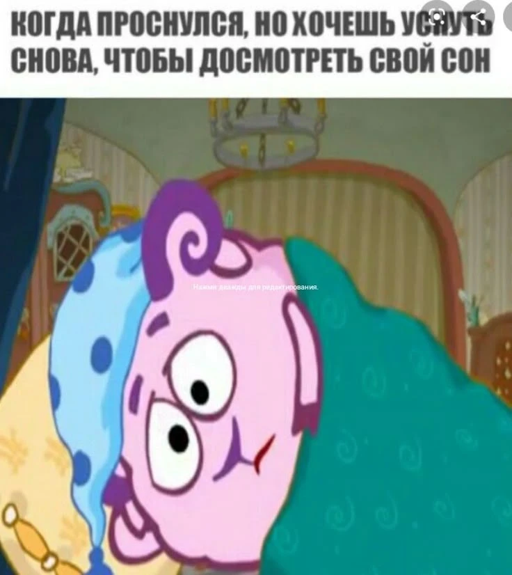 Срочно досмотреть сон 💤