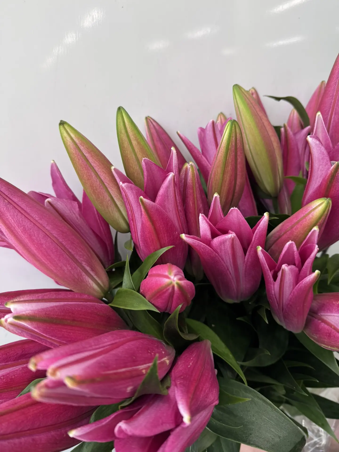 Шикарная российская лилия 🌸