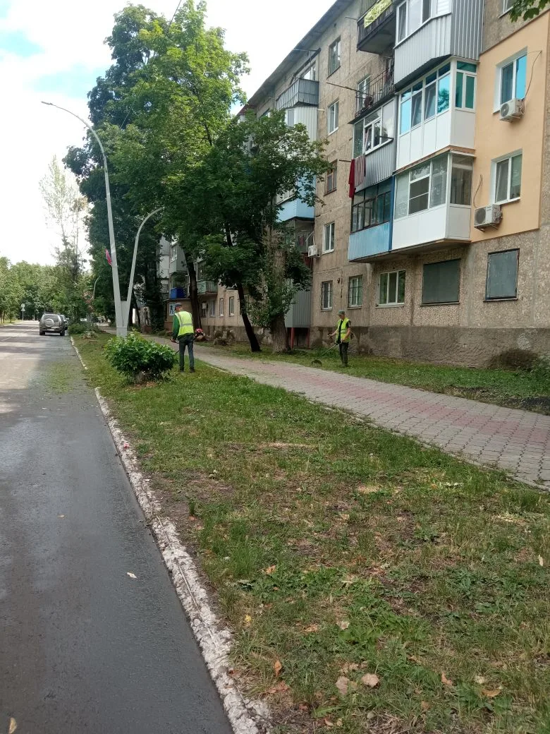 Покос травы ул.Ленина