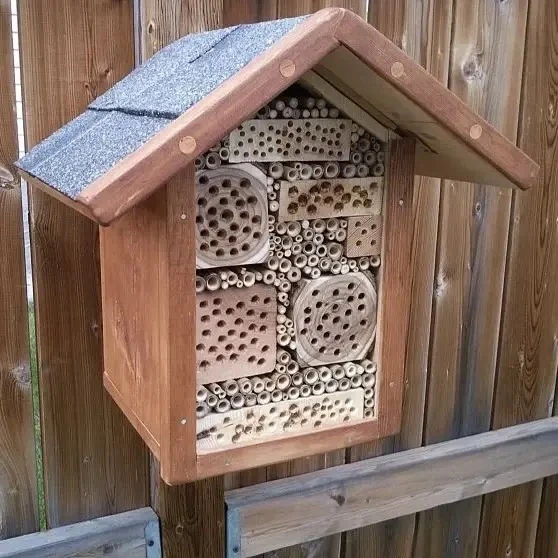 🐝 Отель для насекомых: помощники в борьбе с тлёй