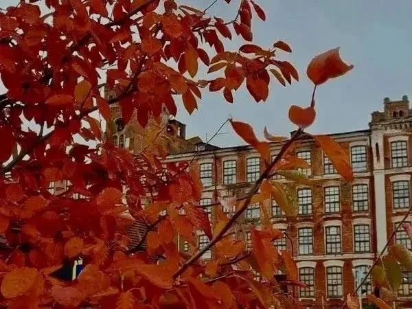 Доброе утро, Наро-Фоминск