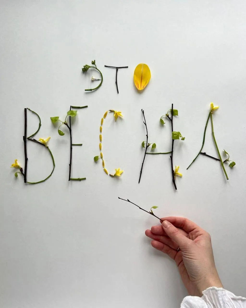 С началом весны!!! 🌸🌸🌸