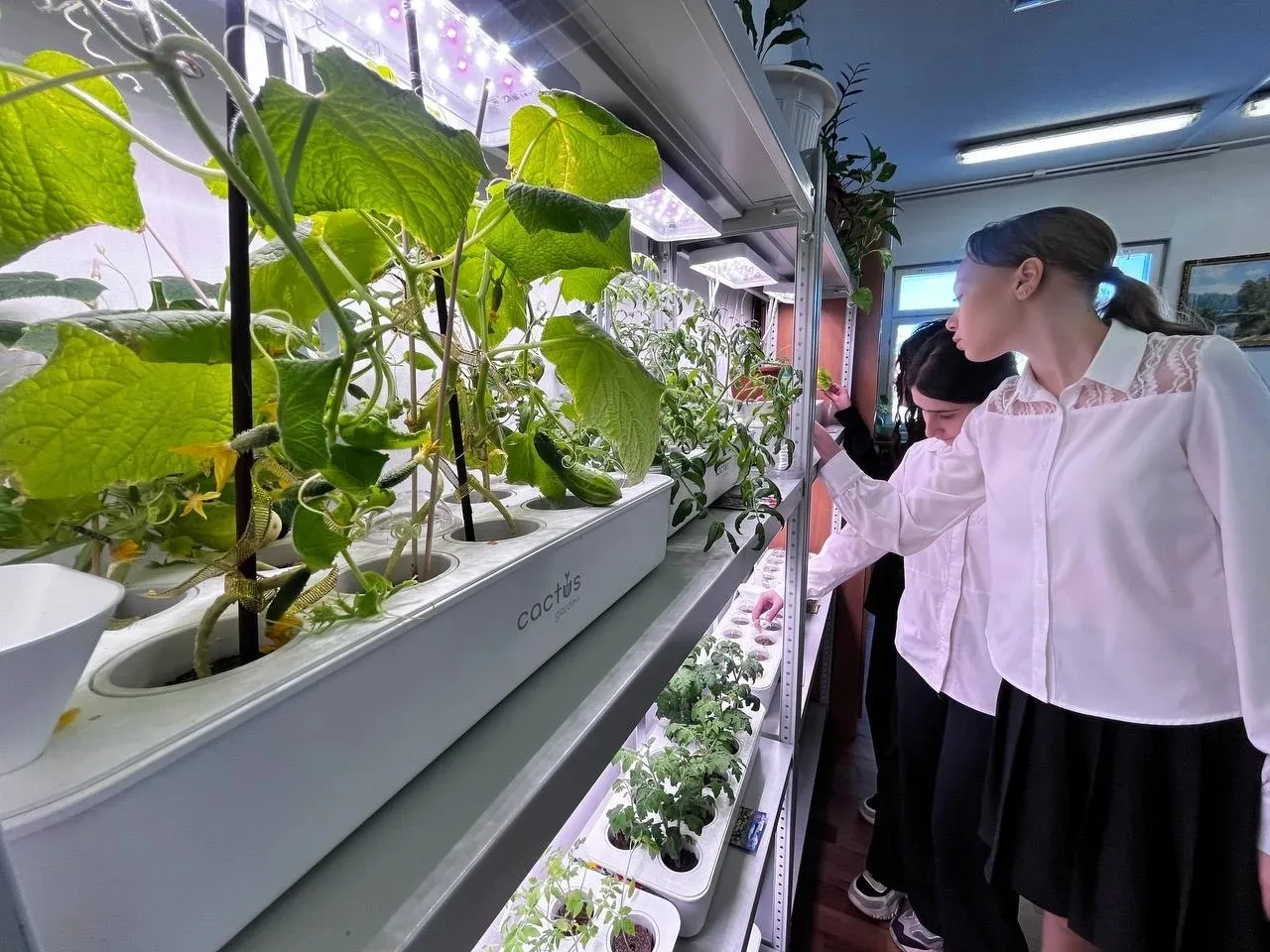 🌱 «Зелёный эксклюзив» за полярным кругом: школьники Ямала стали сити‑фермерами при поддержке ЛУКОЙЛа