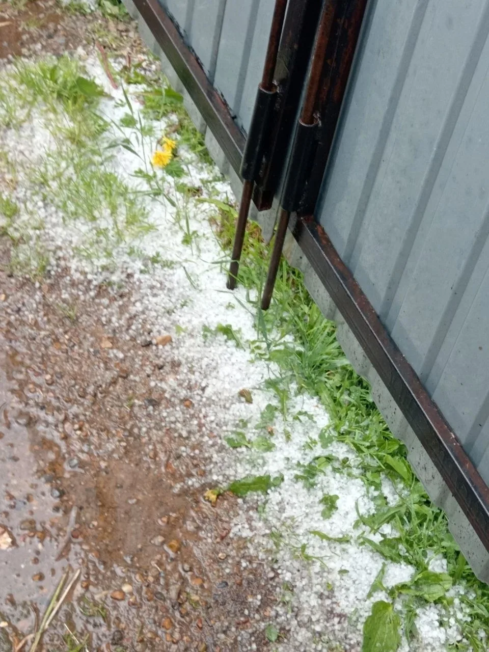 🌪️ Мощный ураган накрыл Кирово-Чепецк и Каркино

Буря принесла с собой не только ливень и крупный г