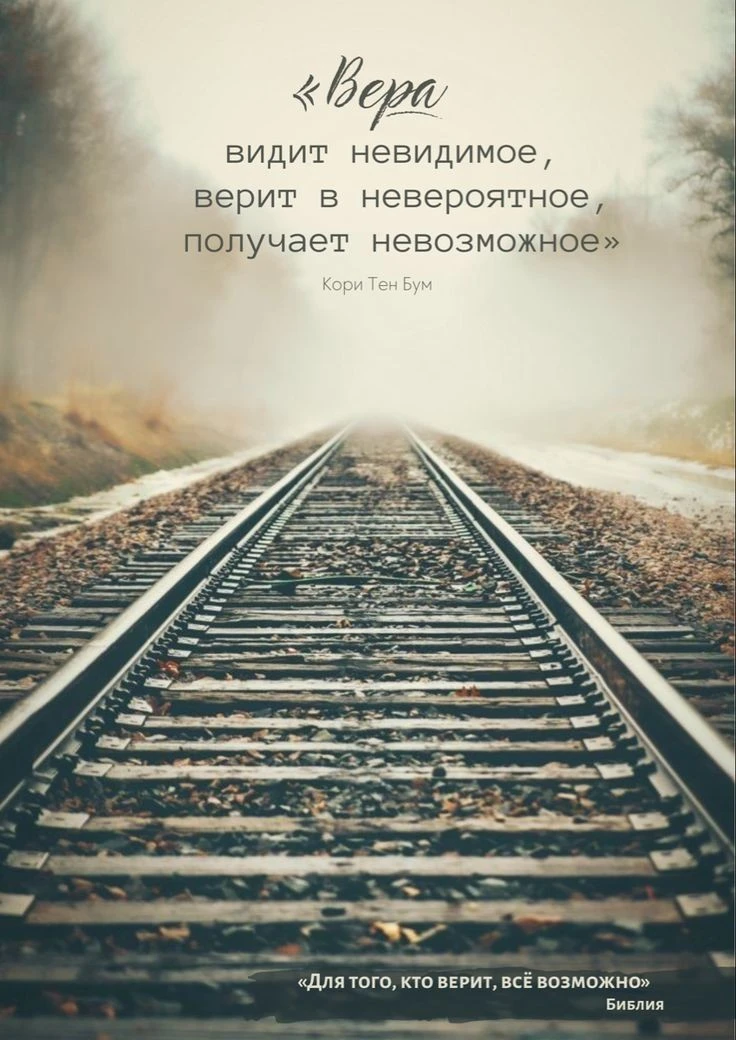 #цитаты