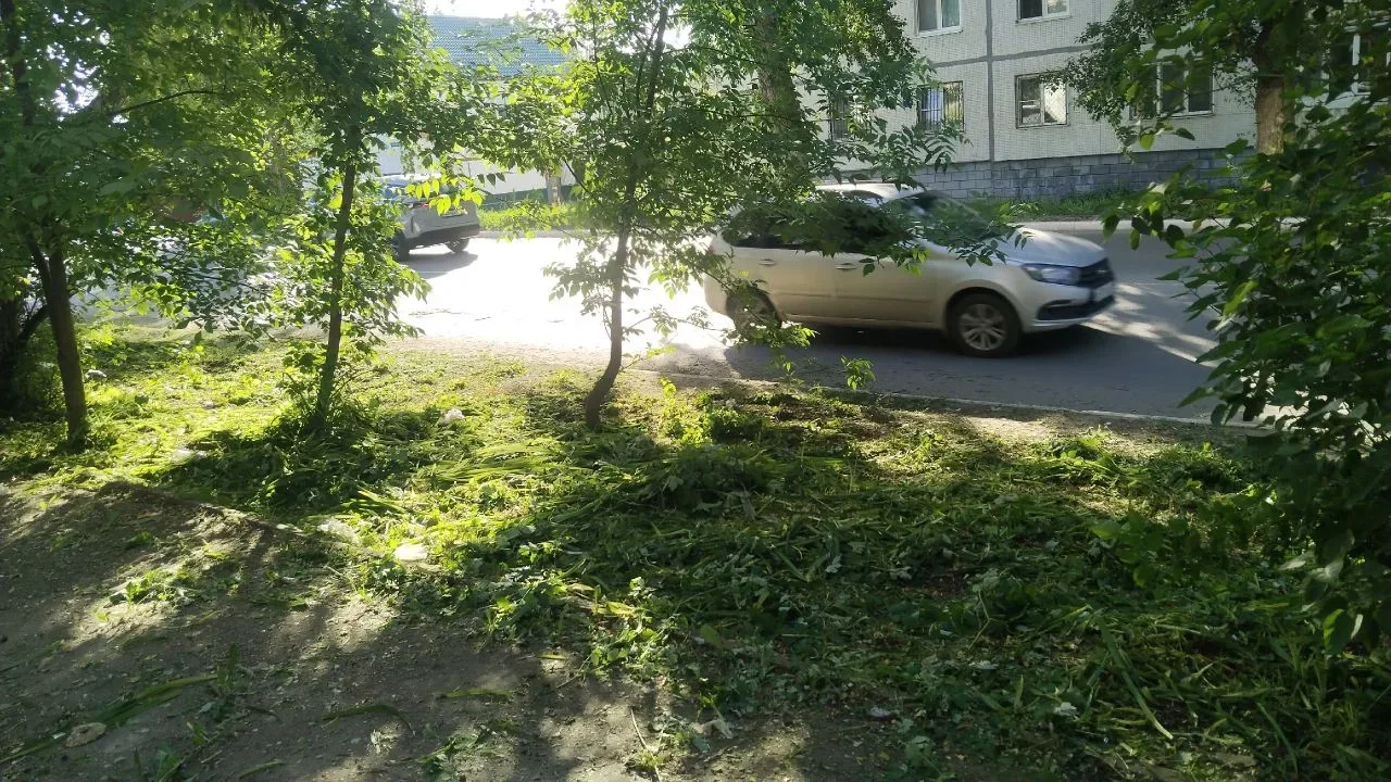 22.05.2026 Плановый покос травы по адресу: ул.Железнодорожная, д.113