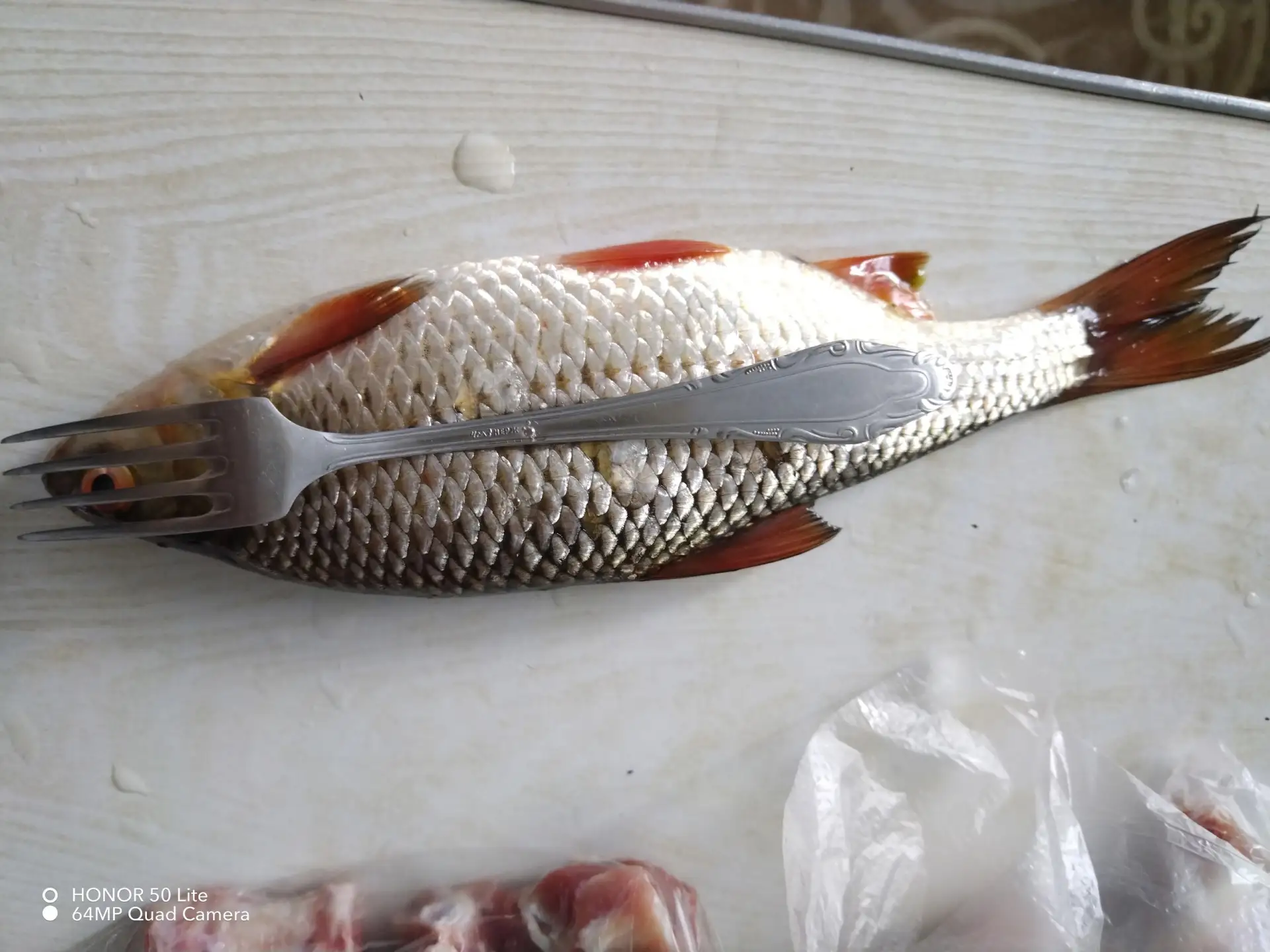 Аргази