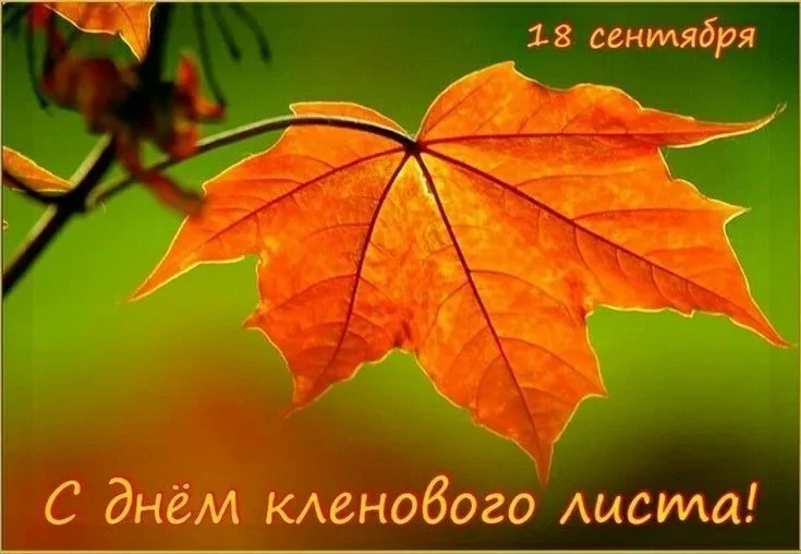🍁 18 сентября — Всемирный день кленового листа! 🍁В группе «Радуга» это событие не ост...