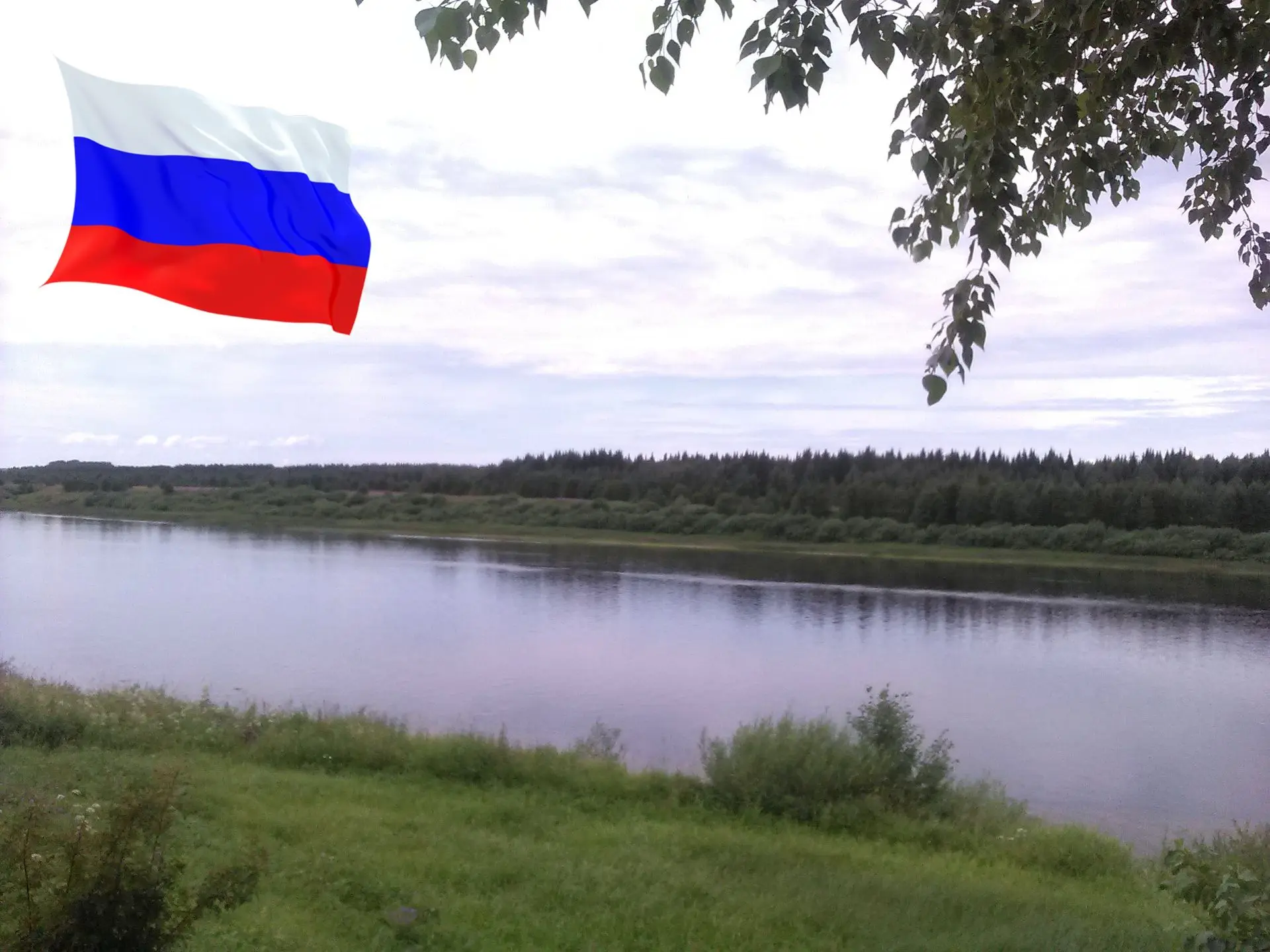 💥Наша школа присоединяется к Всероссийской акции «Цвета Родины»!
