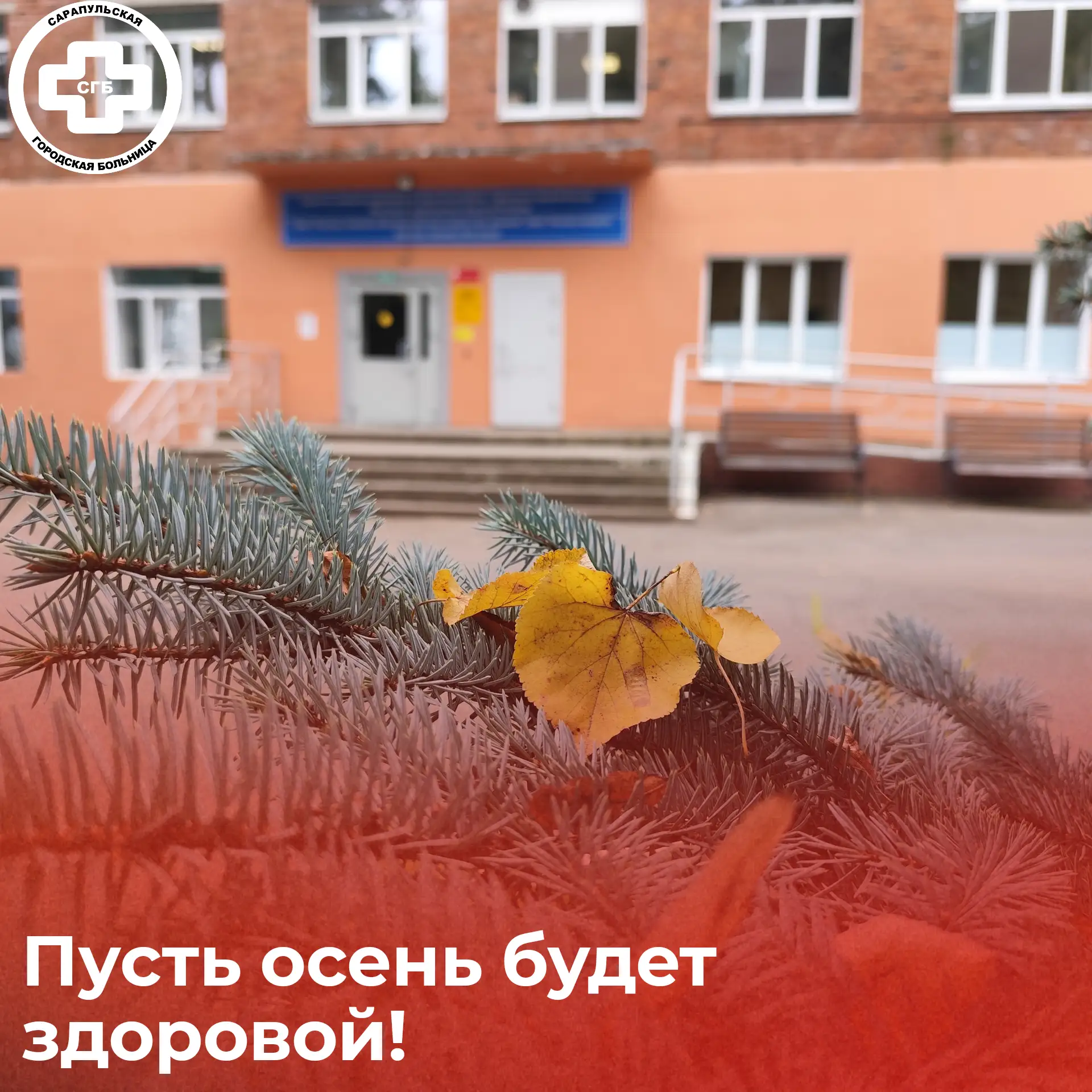 🍂 «Уж небо осенью дышало…» — строки Пушкина как будто созданы для этих дней. Золотисты...