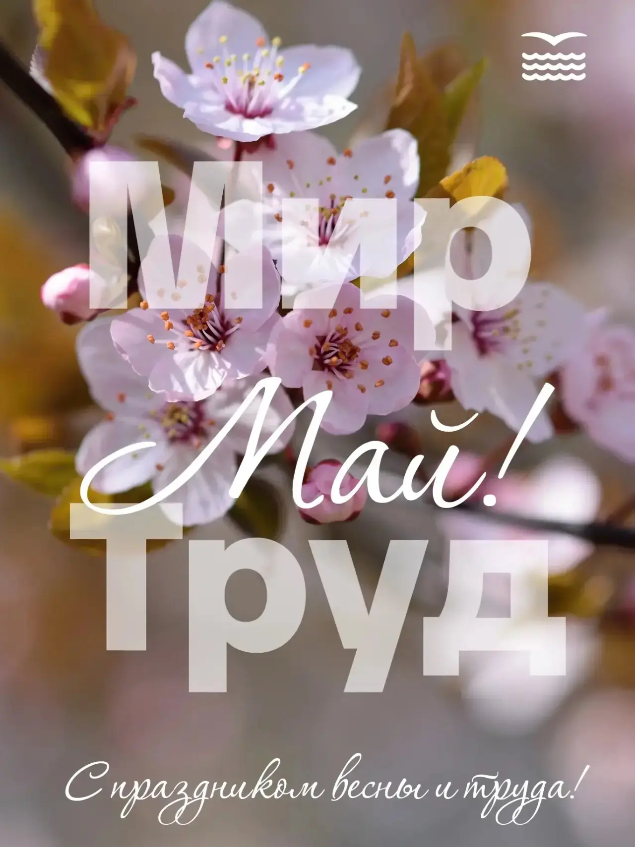 Дорогие родители и уважаемые коллеги!