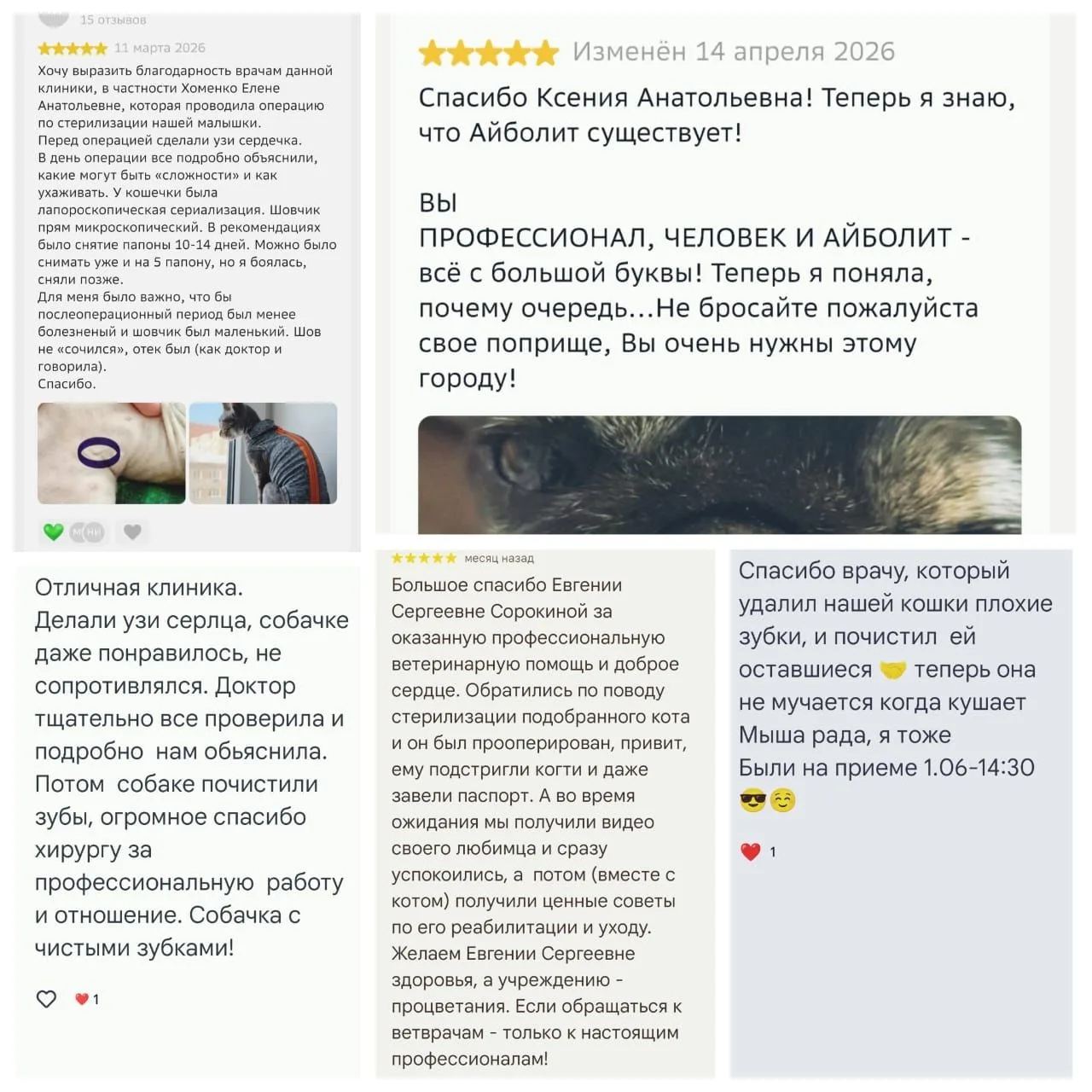 Уважаемые владельцы, хотим выразить Вам огромную  благодарность за теплые слова в адрес...