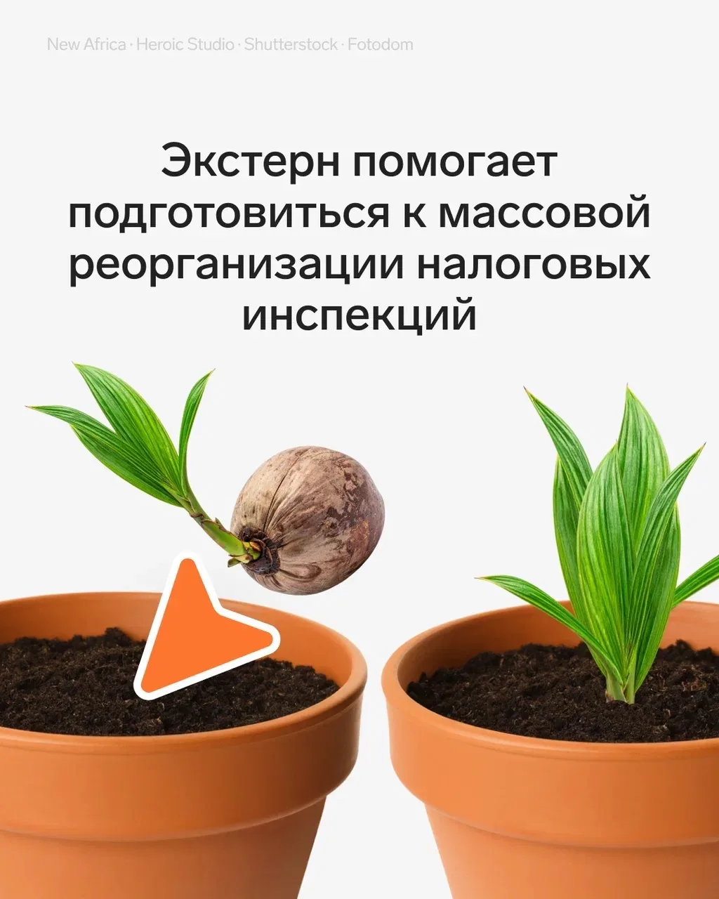 🔸ФНС реорганизует инспекции. Экстерн поможет не запутаться в кодах