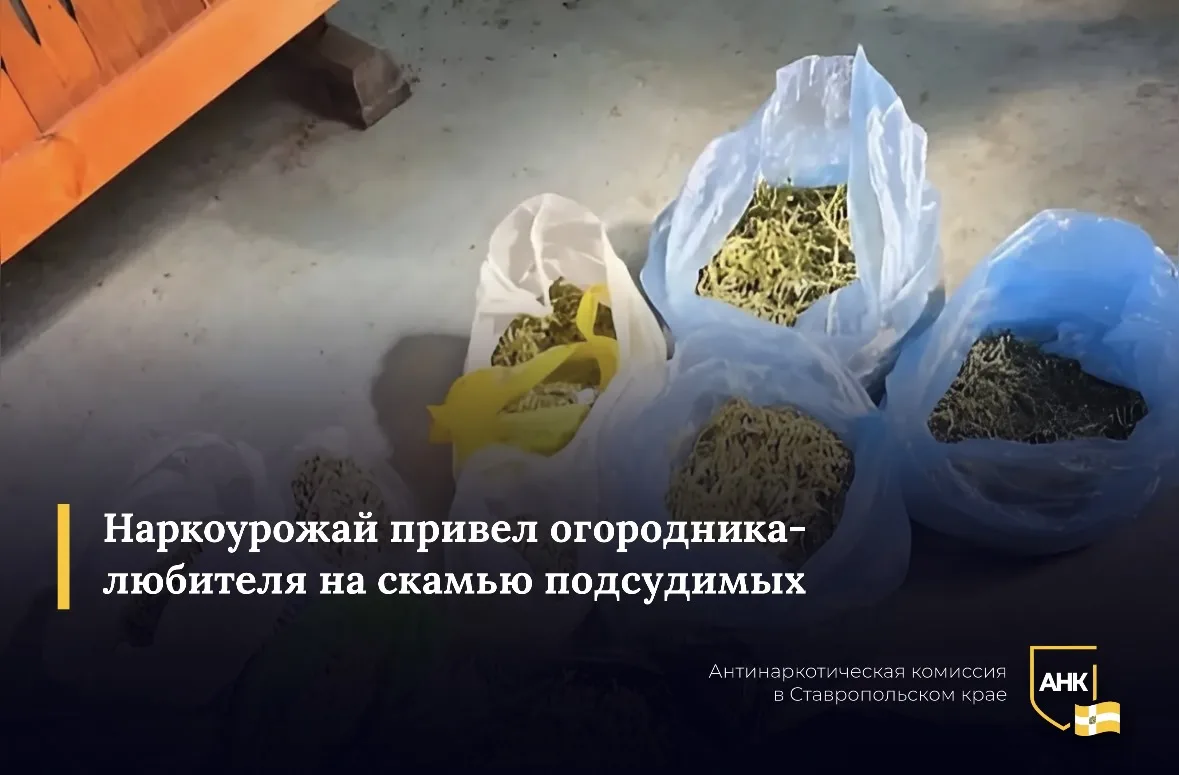 В Михайловске 49-летний местный житель выбрал весьма сомнительный вид земледелия. Вырас...