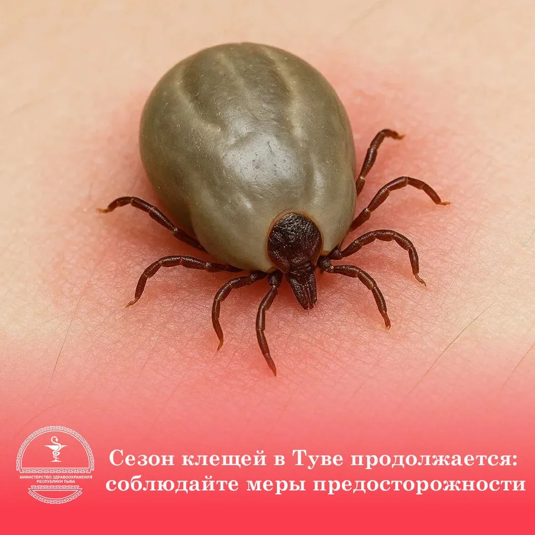 💥При прогулках на свежем воздухе не следует забывать об опасностях, которые нас подсте...