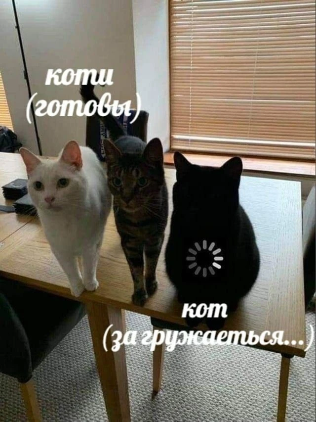 Юмор - подписаться