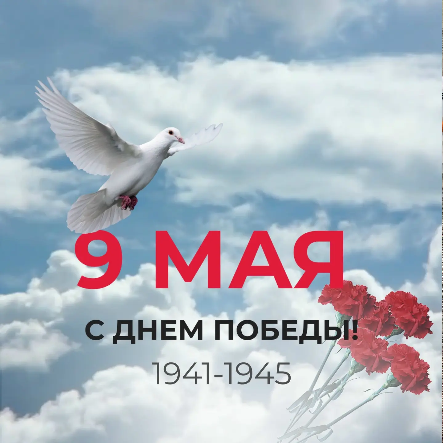 Дорогие друзья!