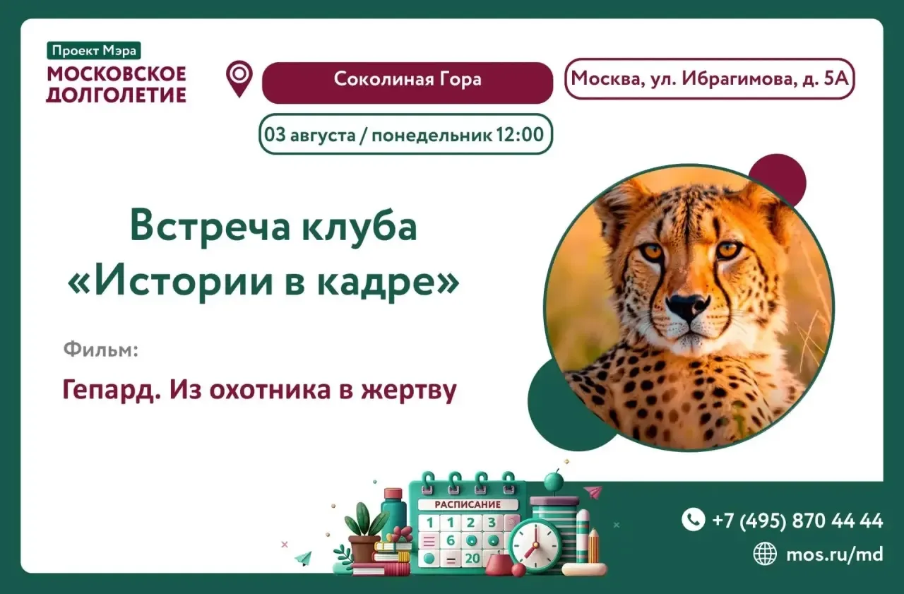 Дорогие любители кино и ценители искусства! 🎥

Приглашаем вас в клуб «Истории в кадре» 

🗓 03 авгу