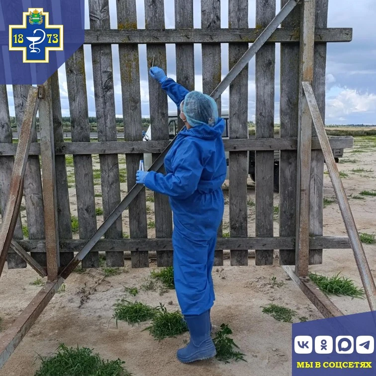 🔬 Ветеринарные будни специалистов испытательной лаборатории ГБУ КО "Сухиничская межрай...