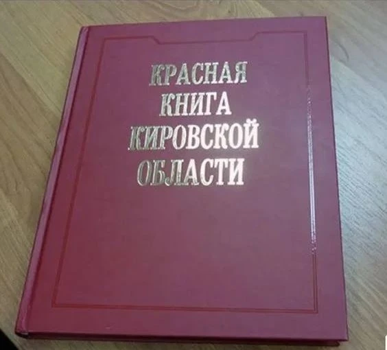 Готовится третье издание Красной книги Кировской области 
 
В Кировской области завершается подготов