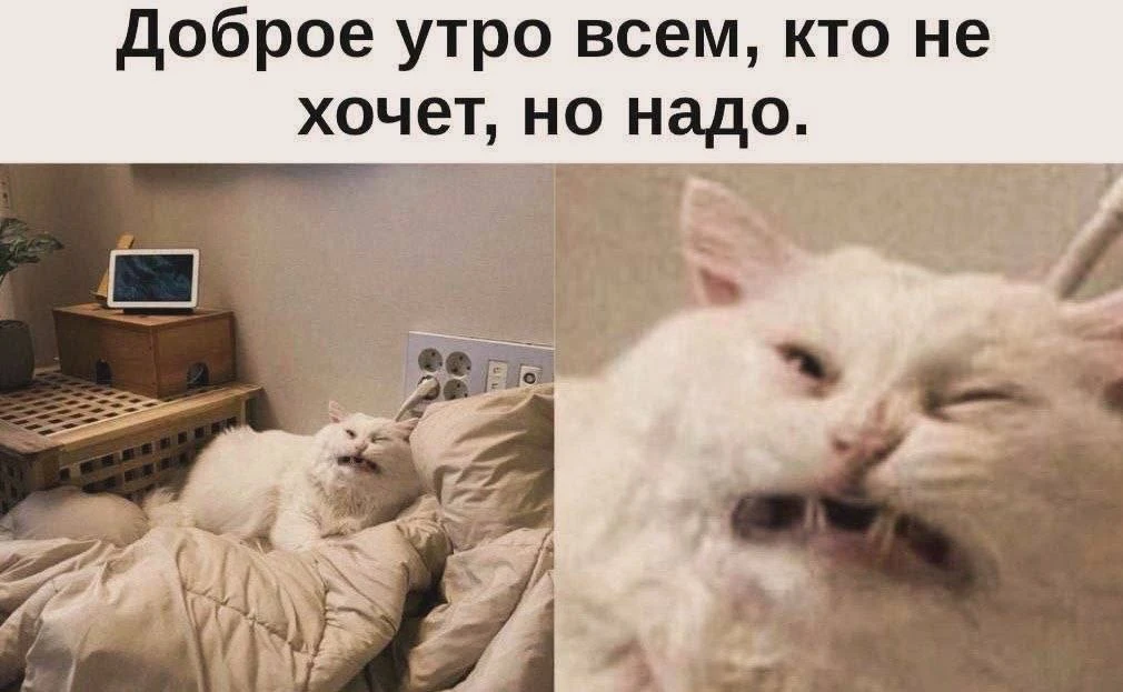 Доброе утро🍁