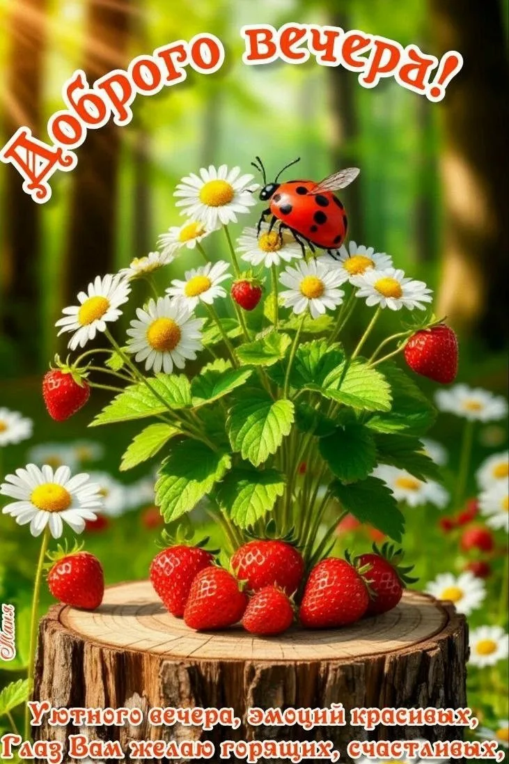 Хорошего вечера! Приятного отдыха! ✨💐