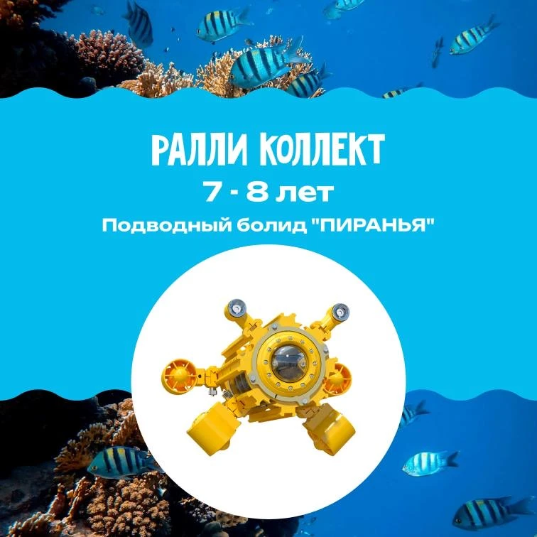 🚀 РЕГИСТРАЦИЯ НА ЧЕМПИОНАТ ПО ПОДВОДНО-ИССЛЕДОВАТЕЛЬСКОМУ СПОРТУ В САНКТ-ПЕТЕРБРГЕ!  Отборочный чемп