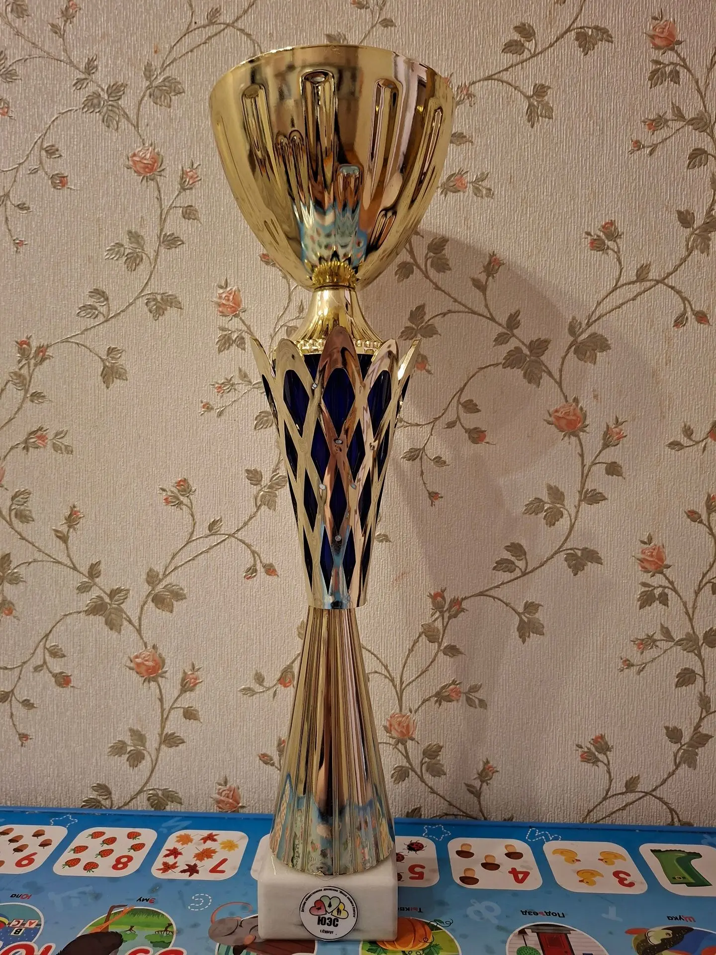 Наши юные экологи — лучшие в городе! 🏆 Ура! Команда «ЭКОМИР» (учащиеся 6 класса: Максимилиан Гильмул