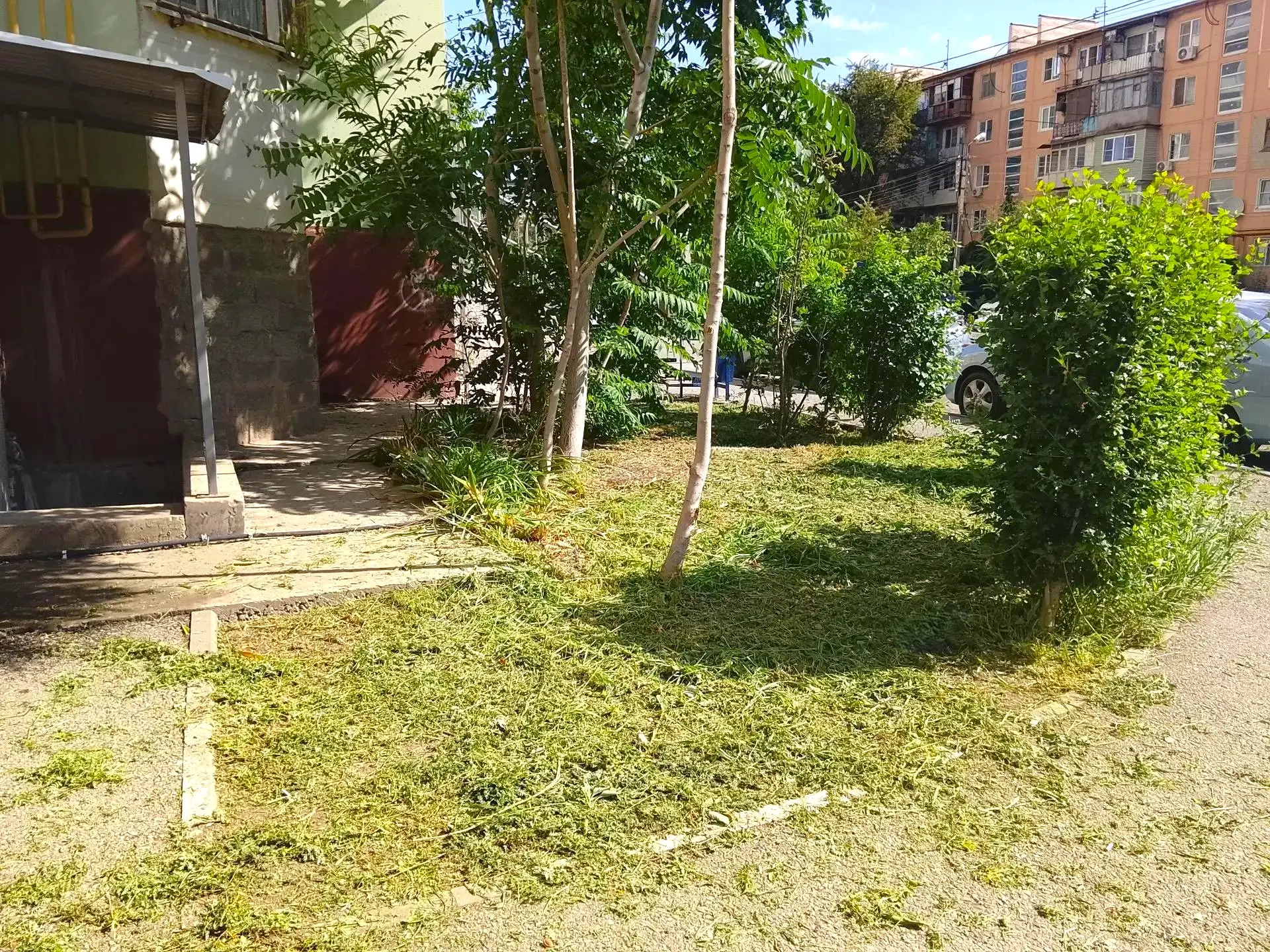 К новости «🌼 Гармония зелени: ухоженный газон»