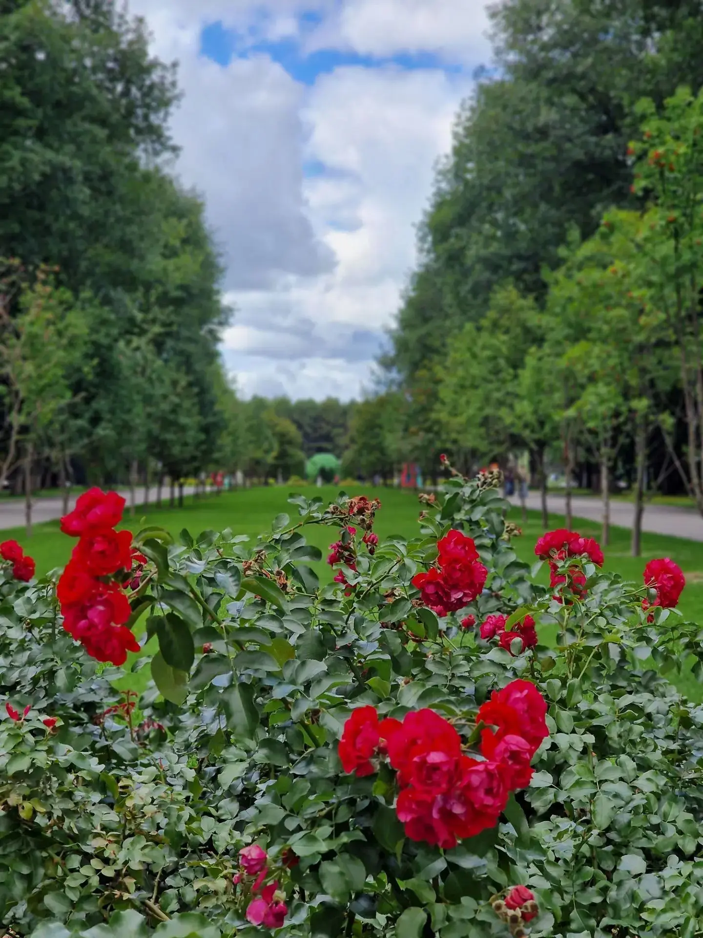 Тульская городская Дума желает хороших выходных! 💫