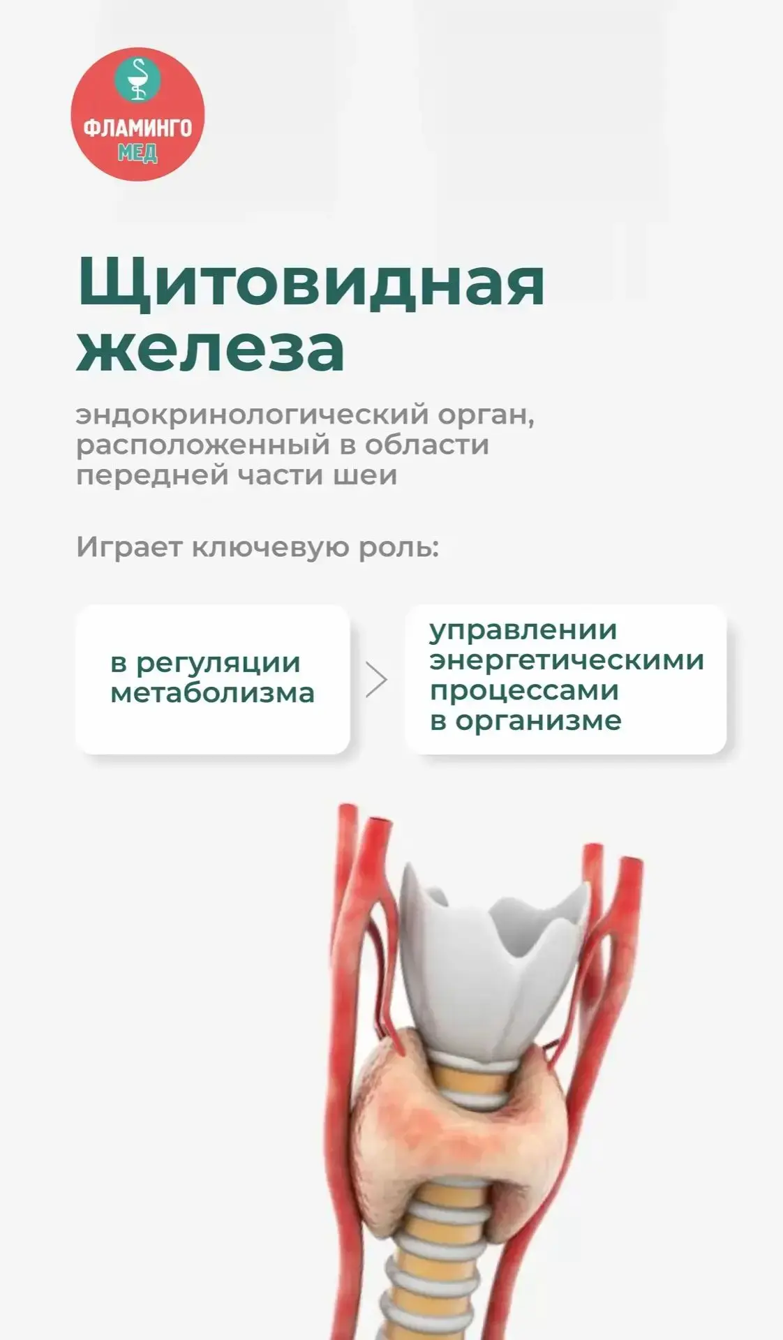 Освободилось окно на сегодня 🔥 Эндокринолог ! Прием ведет : Врач высшей категории Заме...